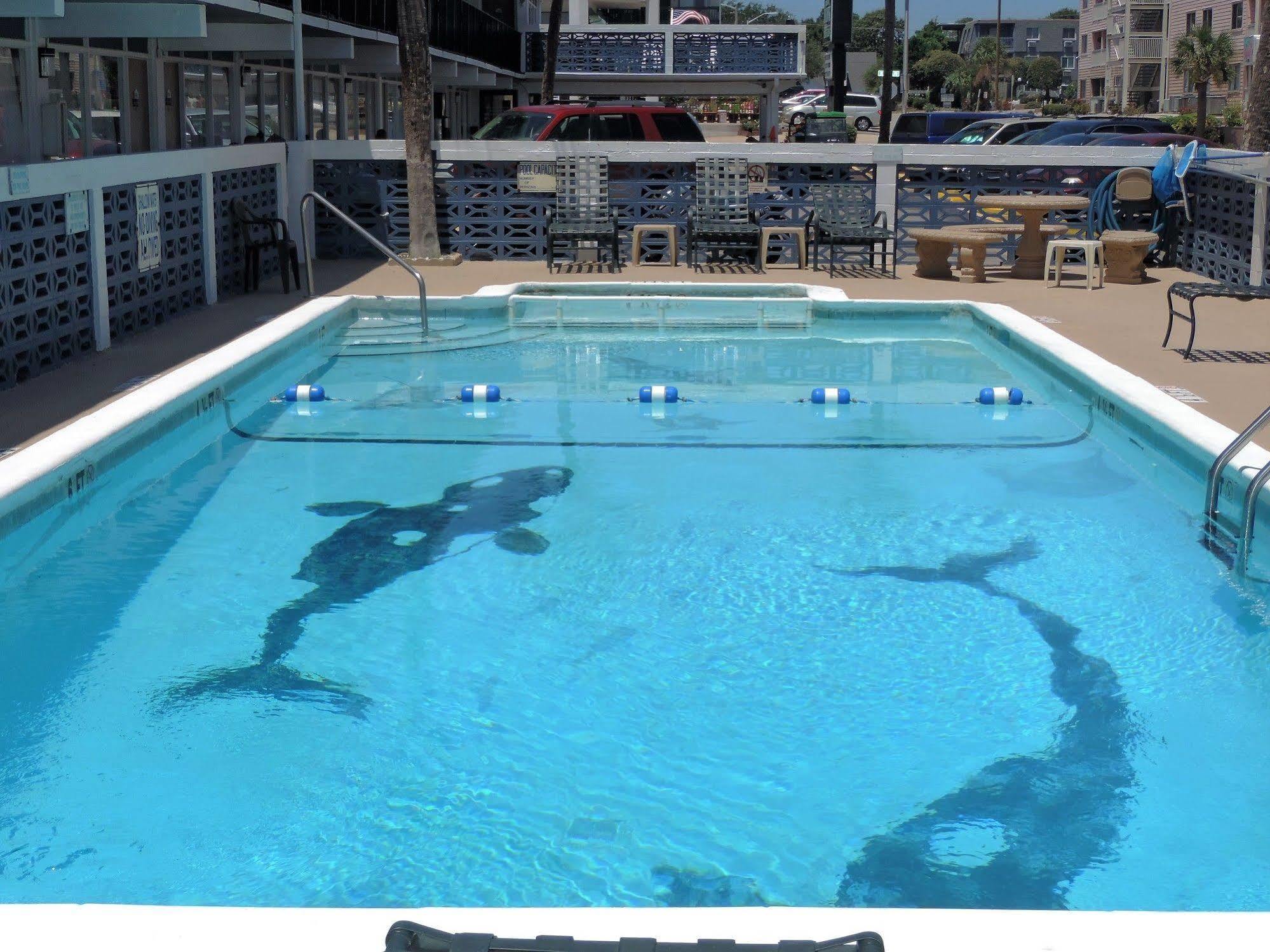 Sea Hawk Oceanfront Motel Миртъл Бийч Екстериор снимка